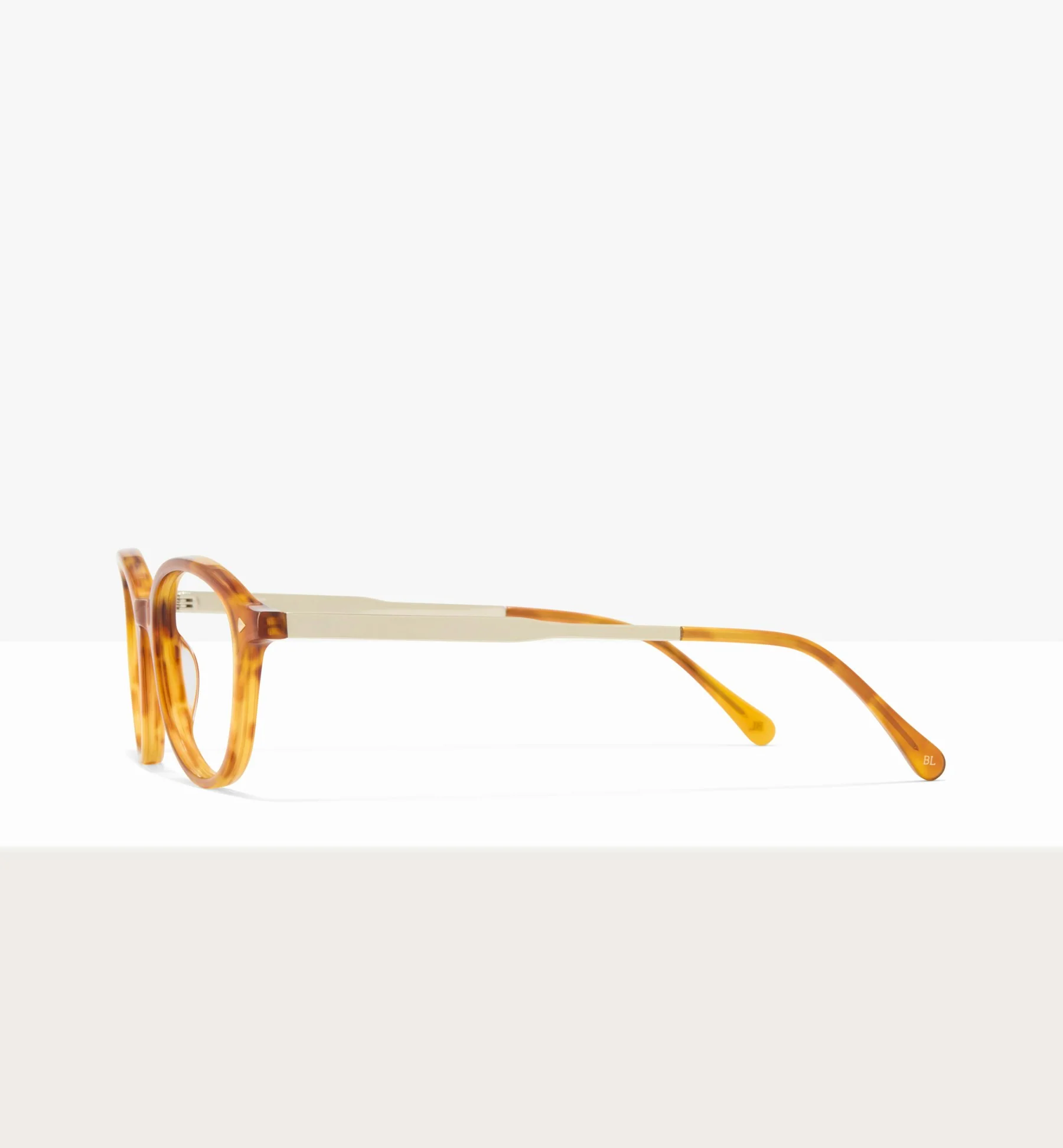 Maranta - Image 12