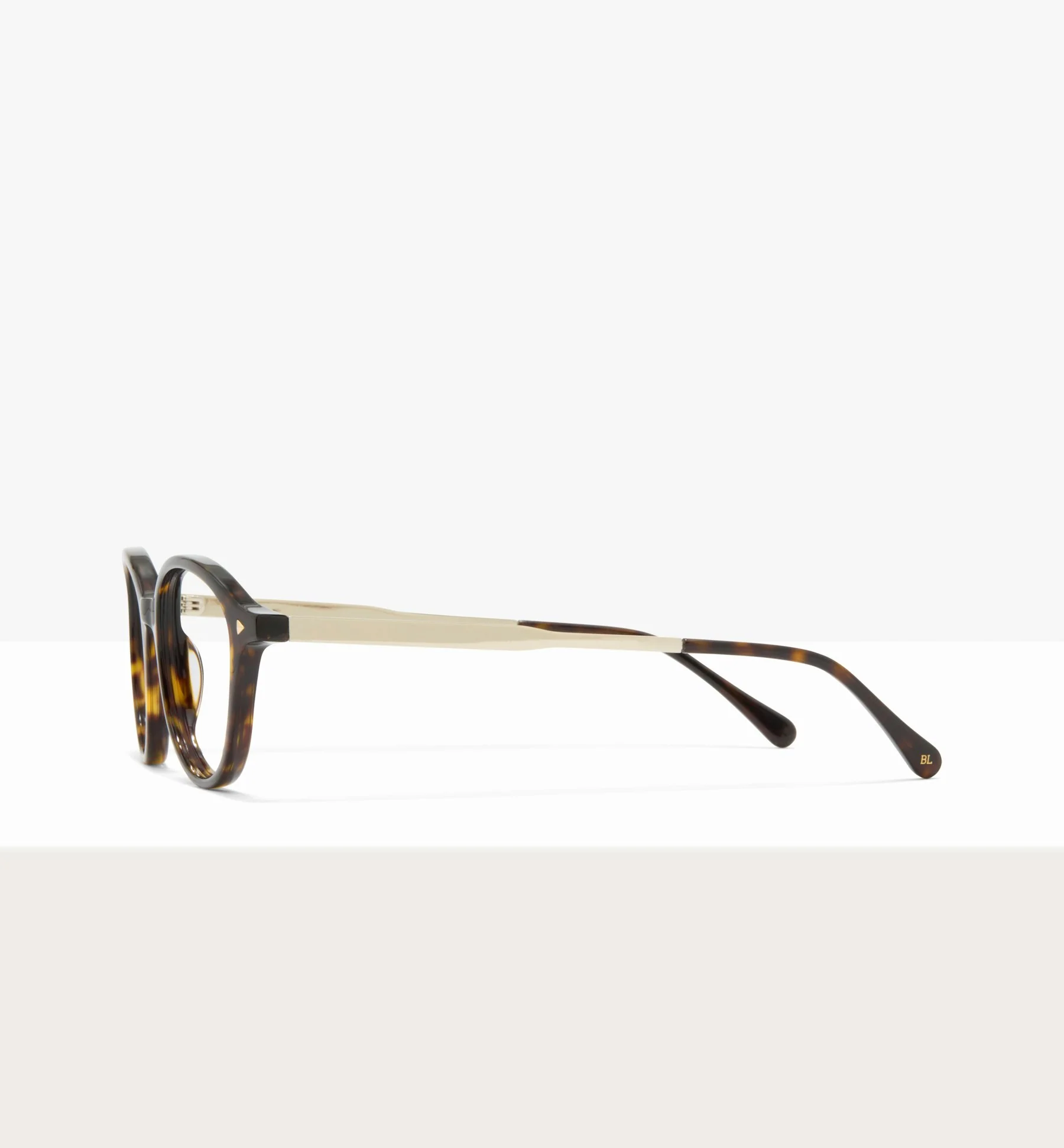 Maranta - Image 6