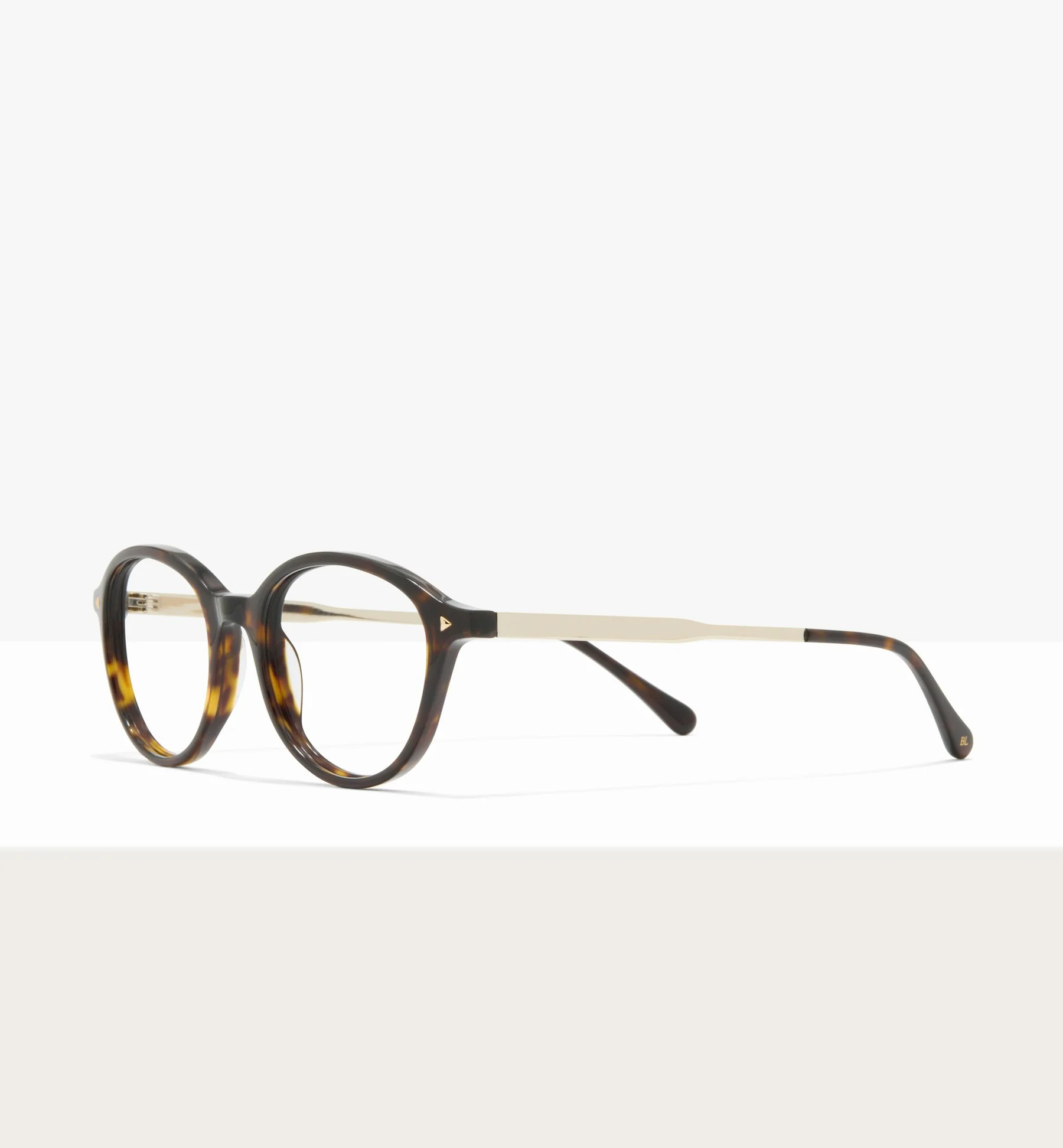 Maranta - Image 7