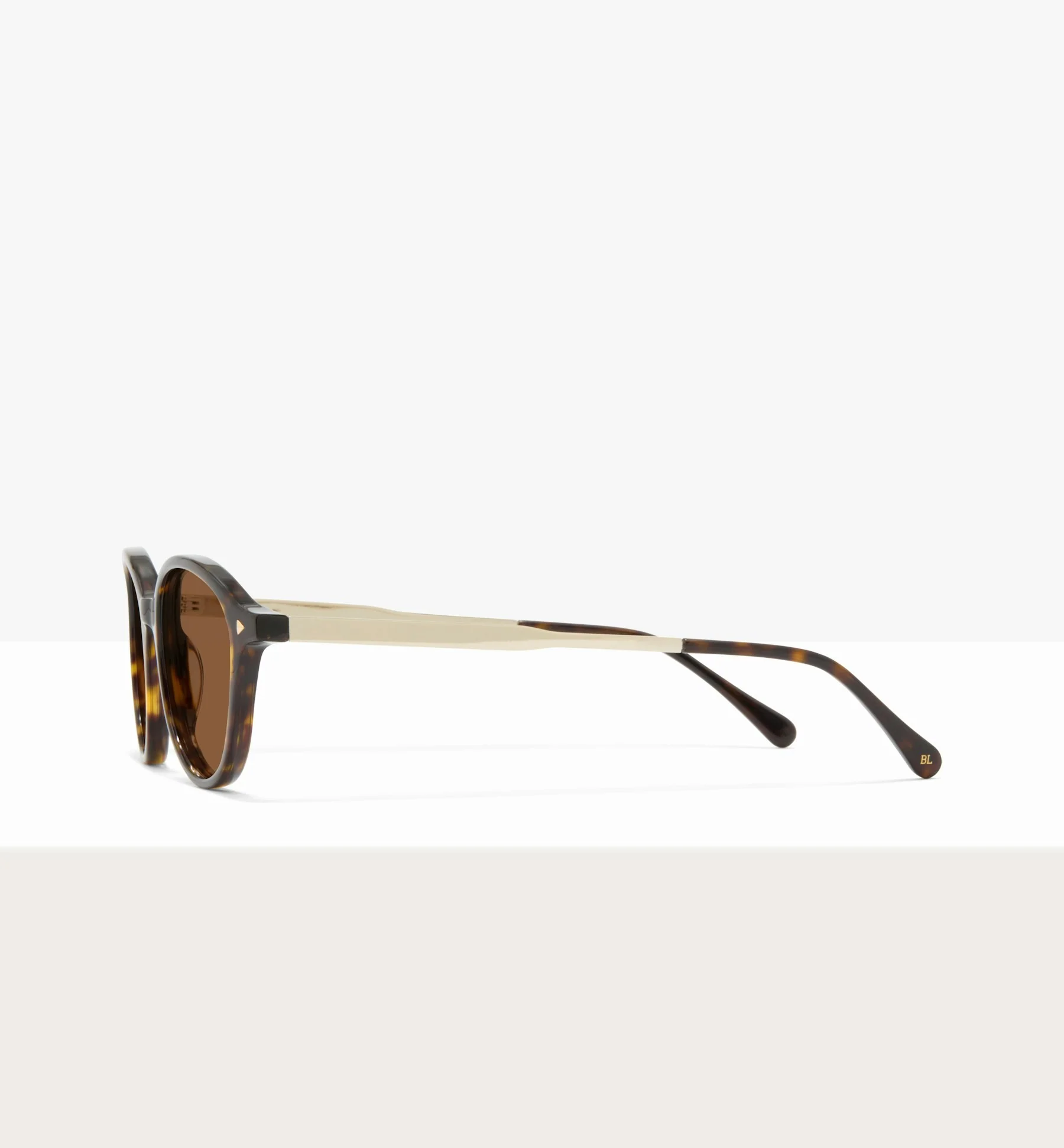 Maranta - Image 7